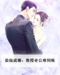 染指成婚:教授老公难伺候