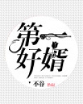 第一好婿