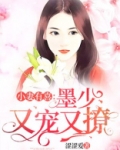 小妻有喜:墨少又宠又撩