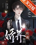 娇养他的小玫瑰