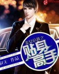 美女总裁之贴身高手
