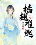 插翅难逃百度百科