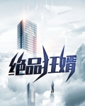 绝品狂婿