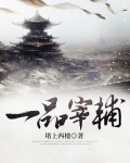 一品宰辅