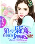 囚婚:狼少枭宠少奶奶