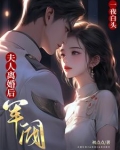 夫人离婚后,军阀大佬一夜白头
