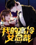 我的高冷女总裁