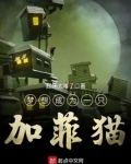 梦想成为一只加菲猫