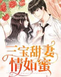 三宝甜妻情如蜜