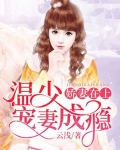 娇妻在上：温少宠妻成瘾