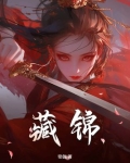 藏锦