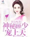 神秘顾少,宠上天