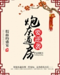 炮灰通房要逆袭