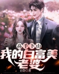 高手下山,我的白富美老婆