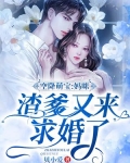 空降萌宝:妈咪,渣爹又来求婚了!