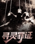 寻灵罪证