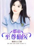 都市至尊仙医苏辰玄门小说